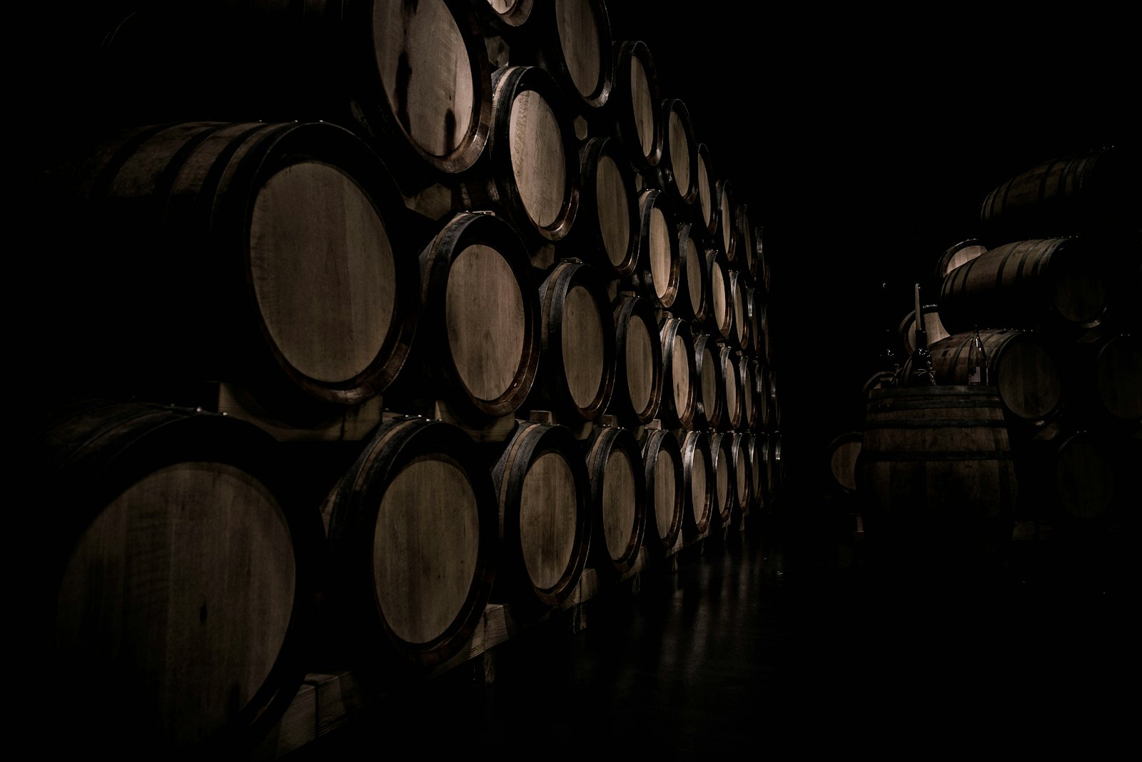 Barricas en la bodega