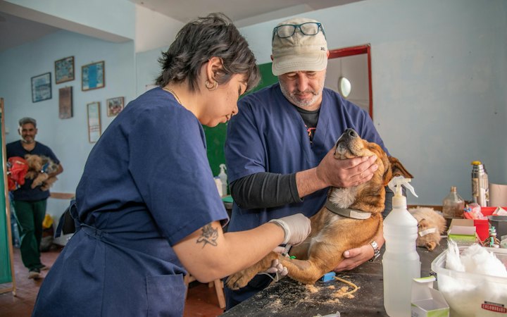 Web de ejemplo para clínica veterinaria