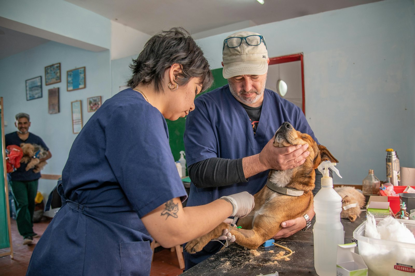 Veterinarios con un perro