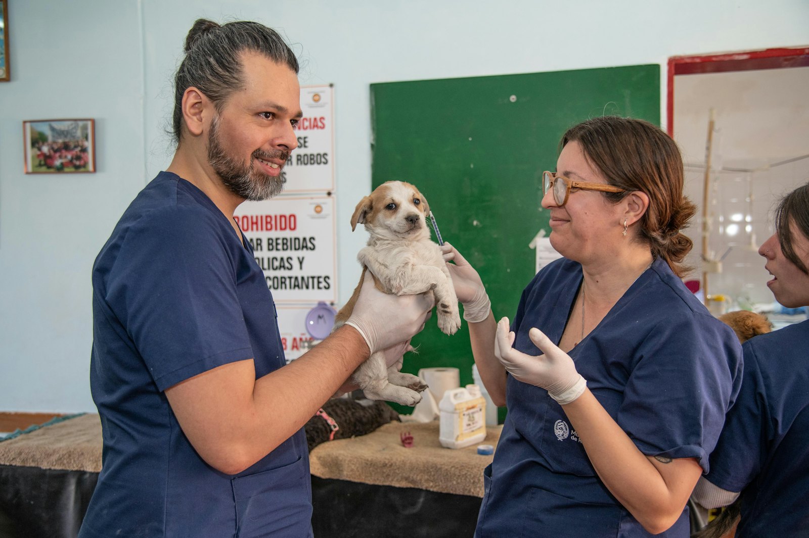 Veterinario con un perro pequeño